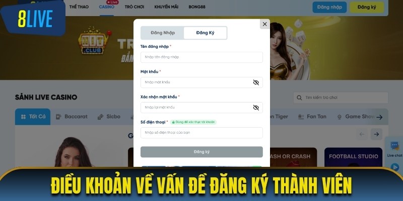 Điều khoản sử dụng trong vấn đề đăng ký thành viên